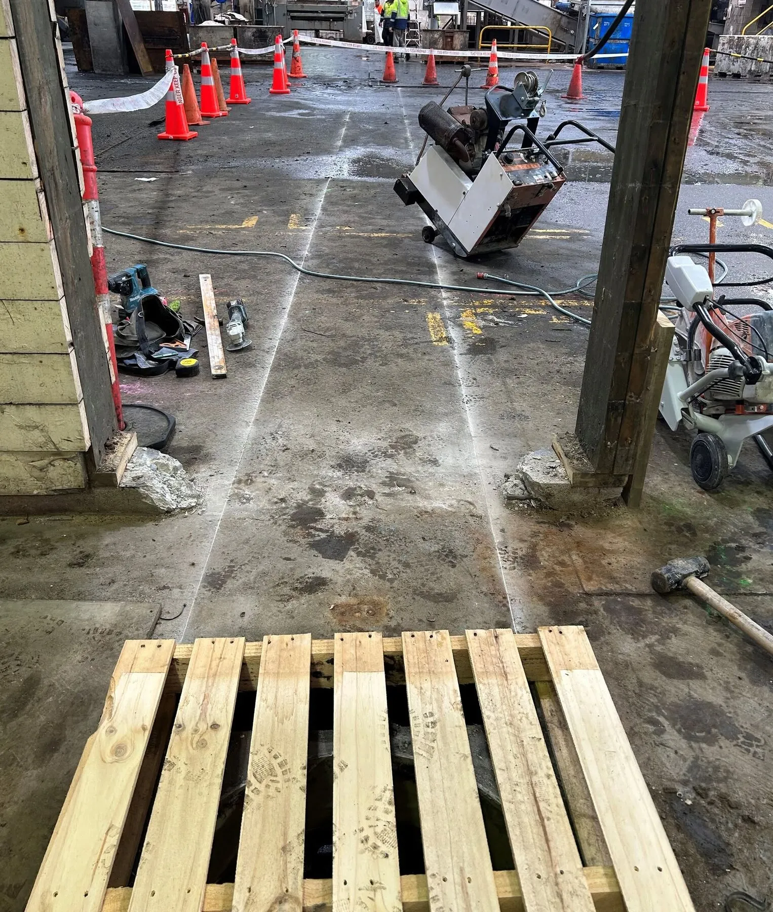 Floor saw following set out lines across a live factory floor in Timaru, cones and barrier tape around the work